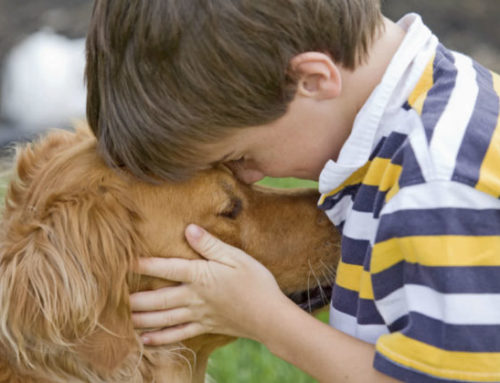 Los beneficios del vínculo entre niños y mascotas